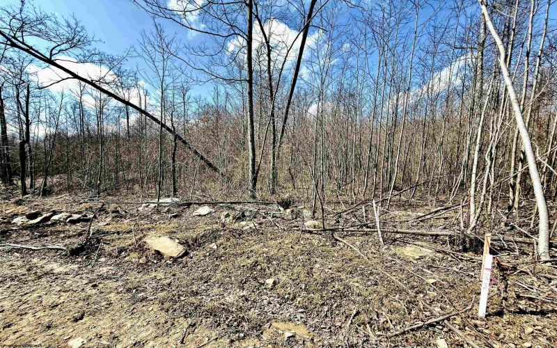 Lot 3 Brooklyn Way, Moatsville, West Virginia 26405, ,Lots/land,For Sale,Brooklyn,10161351