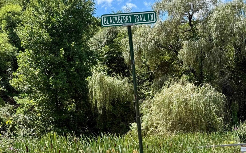 Lot 3 Brooklyn Way, Moatsville, West Virginia 26405, ,Lots/land,For Sale,Brooklyn,10161351