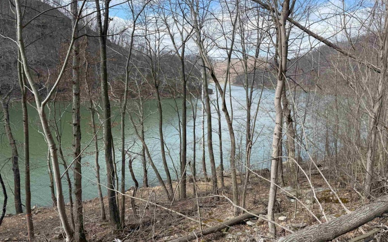Lot 2 Brooklyn Way, Moatsville, West Virginia 26405, ,Lots/land,For Sale,Brooklyn,10161347