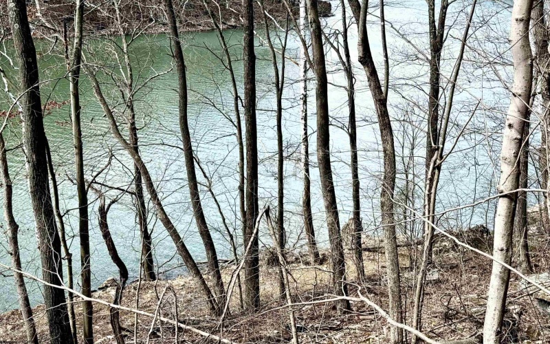 Lot 2 Brooklyn Way, Moatsville, West Virginia 26405, ,Lots/land,For Sale,Brooklyn,10161347