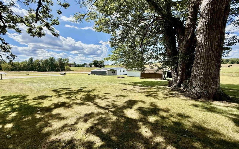 129 Darlynn Road, Philippi, West Virginia 26416, 2 Bedrooms Bedrooms, 6 Rooms Rooms,1 BathroomBathrooms,Single Family Detached,For Sale,Darlynn,10161345