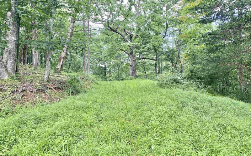 437 Cedar Lane, West Union, West Virginia 26547, 2 Bedrooms Bedrooms, 8 Rooms Rooms,2 BathroomsBathrooms,Single Family Detached,For Sale,Cedar,10161358