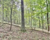437 Cedar Lane, West Union, West Virginia 26547, 2 Bedrooms Bedrooms, 8 Rooms Rooms,2 BathroomsBathrooms,Single Family Detached,For Sale,Cedar,10161358