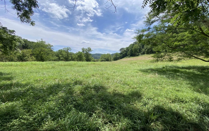 135 Cedar Lane, West Union, West Virginia 26456, 3 Bedrooms Bedrooms, 8 Rooms Rooms,2 BathroomsBathrooms,Single Family Detached,For Sale,Cedar,10161359