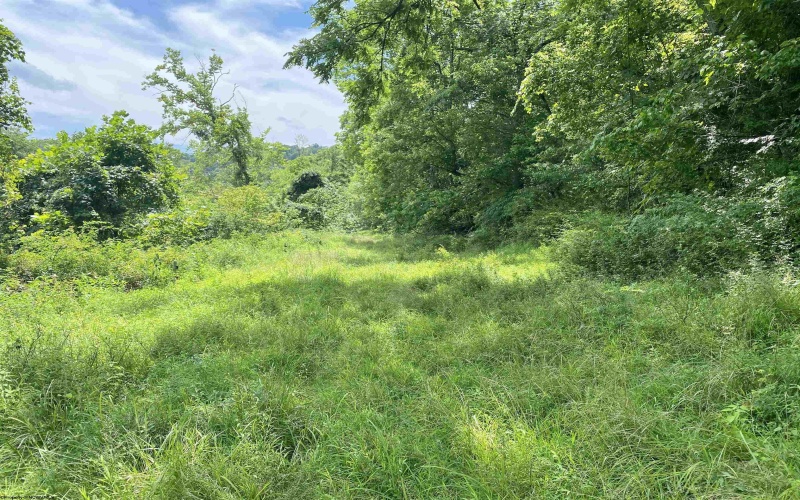 135 Cedar Lane, West Union, West Virginia 26456, 3 Bedrooms Bedrooms, 8 Rooms Rooms,2 BathroomsBathrooms,Single Family Detached,For Sale,Cedar,10161359