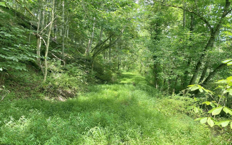 135 Cedar Lane, West Union, West Virginia 26456, 3 Bedrooms Bedrooms, 8 Rooms Rooms,2 BathroomsBathrooms,Single Family Detached,For Sale,Cedar,10161359