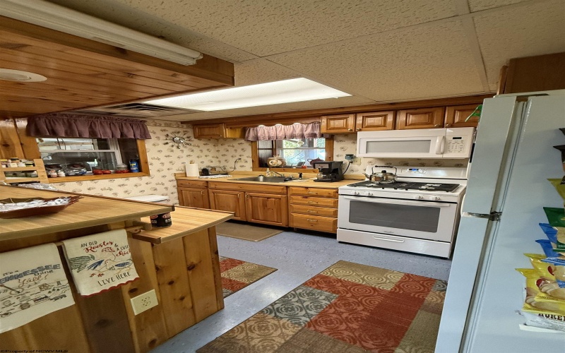 280 Mustang Alley, Huttonsville, West Virginia 26273, 5 Bedrooms Bedrooms, 23 Rooms Rooms,4 BathroomsBathrooms,Single Family Detached,For Sale,Mustang,10161370