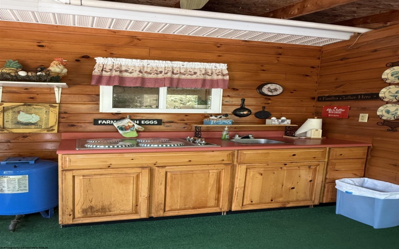 280 Mustang Alley, Huttonsville, West Virginia 26273, 5 Bedrooms Bedrooms, 23 Rooms Rooms,4 BathroomsBathrooms,Single Family Detached,For Sale,Mustang,10161370
