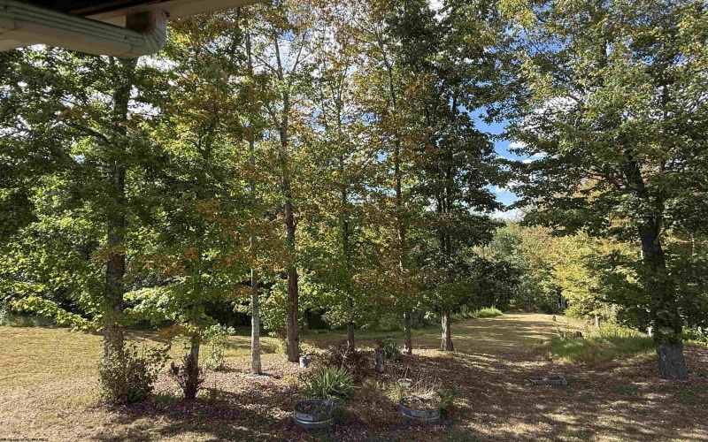 280 Mustang Alley, Huttonsville, West Virginia 26273, 5 Bedrooms Bedrooms, 23 Rooms Rooms,4 BathroomsBathrooms,Single Family Detached,For Sale,Mustang,10161370