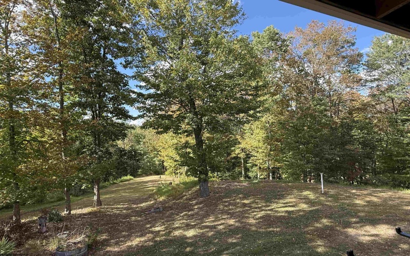 280 Mustang Alley, Huttonsville, West Virginia 26273, 5 Bedrooms Bedrooms, 23 Rooms Rooms,4 BathroomsBathrooms,Single Family Detached,For Sale,Mustang,10161370