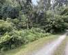 TBD Gall Avenue, Belington, West Virginia 26250, ,Lots/land,For Sale,Gall,10161375
