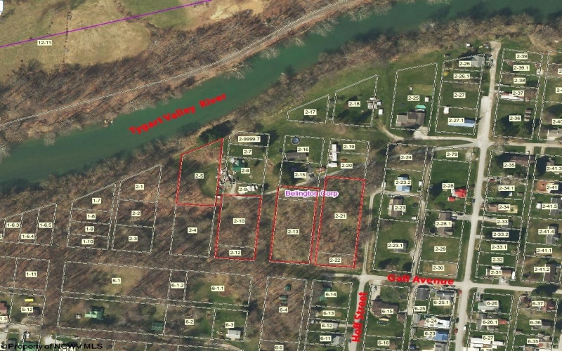 TBD Gall Avenue, Belington, West Virginia 26250, ,Lots/land,For Sale,Gall,10161375
