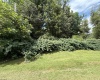 TBD Gall Avenue, Belington, West Virginia 26250, ,Lots/land,For Sale,Gall,10161375