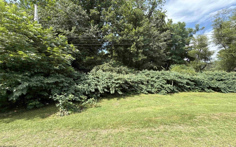 TBD Gall Avenue, Belington, West Virginia 26250, ,Lots/land,For Sale,Gall,10161375