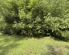 TBD Gall Avenue, Belington, West Virginia 26250, ,Lots/land,For Sale,Gall,10161375