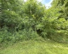 TBD Gall Avenue, Belington, West Virginia 26250, ,Lots/land,For Sale,Gall,10161375