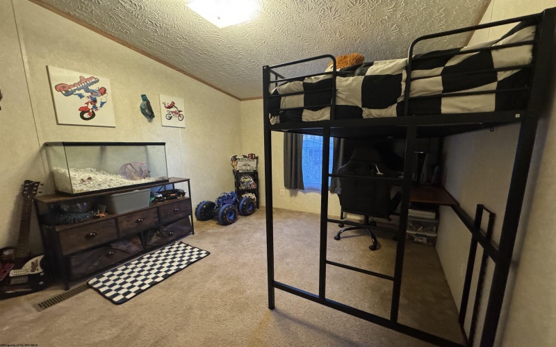 47 Rapp Drive, Davis, West Virginia 26260-0000, 3 Bedrooms Bedrooms, 5 Rooms Rooms,2 BathroomsBathrooms,Single Family Detached,For Sale,Rapp,10161384
