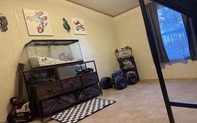 47 Rapp Drive, Davis, West Virginia 26260-0000, 3 Bedrooms Bedrooms, 5 Rooms Rooms,2 BathroomsBathrooms,Single Family Detached,For Sale,Rapp,10161384
