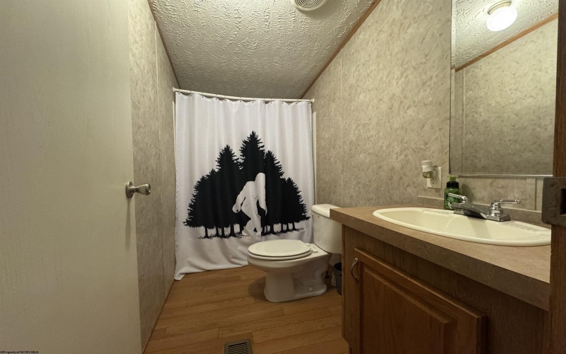 47 Rapp Drive, Davis, West Virginia 26260-0000, 3 Bedrooms Bedrooms, 5 Rooms Rooms,2 BathroomsBathrooms,Single Family Detached,For Sale,Rapp,10161384