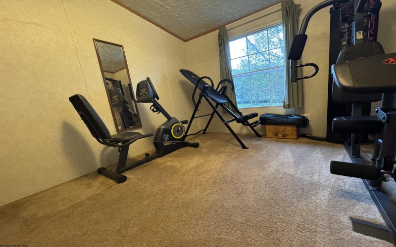 47 Rapp Drive, Davis, West Virginia 26260-0000, 3 Bedrooms Bedrooms, 5 Rooms Rooms,2 BathroomsBathrooms,Single Family Detached,For Sale,Rapp,10161384