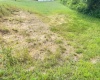 TBD N 24th Street, Clarksburg, West Virginia 26301, ,Lots/land,For Sale,N 24th,10161401