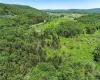 00 Mountain View Circle, Davis, West Virginia 26260, ,Lots/land,For Sale,Mountain View,10161403