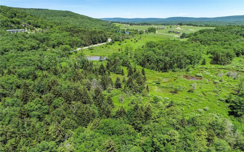 00 Mountain View Circle, Davis, West Virginia 26260, ,Lots/land,For Sale,Mountain View,10161403
