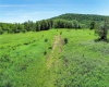 00 Mountain View Circle, Davis, West Virginia 26260, ,Lots/land,For Sale,Mountain View,10161403