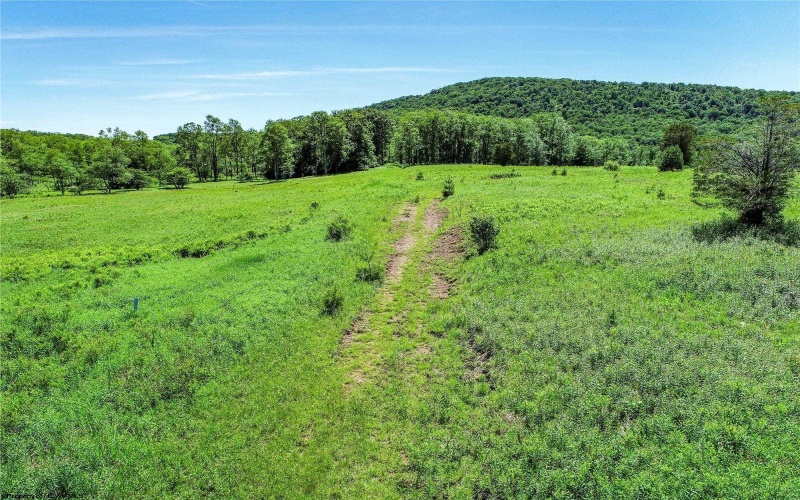 00 Mountain View Circle, Davis, West Virginia 26260, ,Lots/land,For Sale,Mountain View,10161403