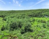 00 Mountain View Circle, Davis, West Virginia 26260, ,Lots/land,For Sale,Mountain View,10161403