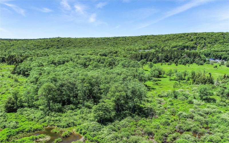 00 Mountain View Circle, Davis, West Virginia 26260, ,Lots/land,For Sale,Mountain View,10161403