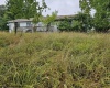 5196 Eden Road, Rock Cave, West Virginia 26234, ,Lots/land,For Sale,Eden,10161420
