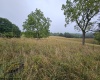 5196 Eden Road, Rock Cave, West Virginia 26234, ,Lots/land,For Sale,Eden,10161420