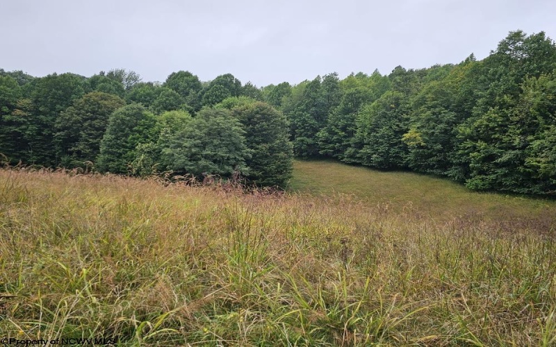 5196 Eden Road, Rock Cave, West Virginia 26234, ,Lots/land,For Sale,Eden,10161420