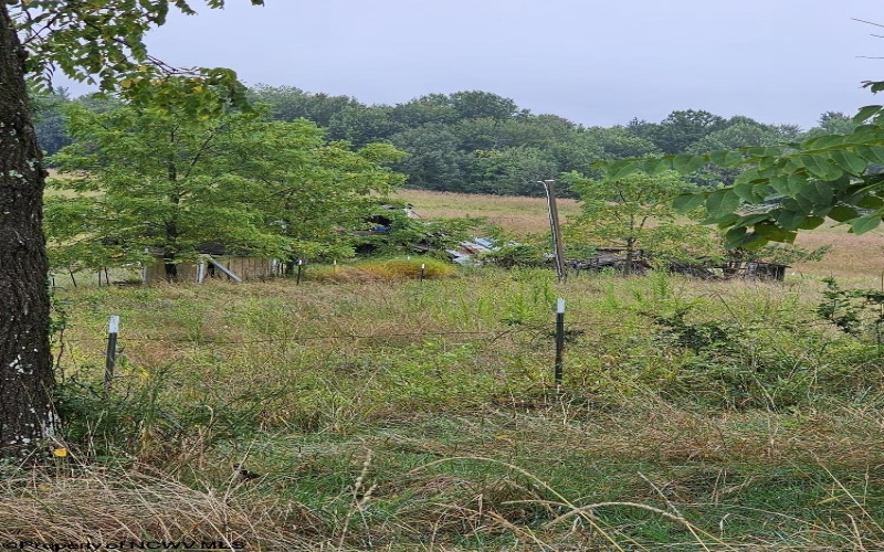 5196 Eden Road, Rock Cave, West Virginia 26234, ,Lots/land,For Sale,Eden,10161420