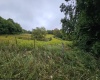 5196 Eden Road, Rock Cave, West Virginia 26234, ,Lots/land,For Sale,Eden,10161420