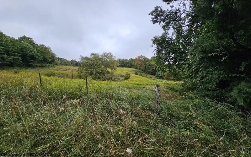 5196 Eden Road, Rock Cave, West Virginia 26234, ,Lots/land,For Sale,Eden,10161420