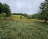 5196 Eden Road, Rock Cave, West Virginia 26234, ,Lots/land,For Sale,Eden,10161420