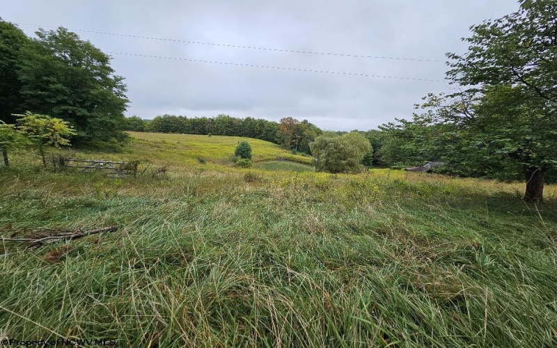 5196 Eden Road, Rock Cave, West Virginia 26234, ,Lots/land,For Sale,Eden,10161420