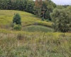 5196 Eden Road, Rock Cave, West Virginia 26234, ,Lots/land,For Sale,Eden,10161420