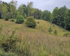 5196 Eden Road, Rock Cave, West Virginia 26234, ,Lots/land,For Sale,Eden,10161420