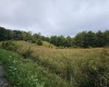 5196 Eden Road, Rock Cave, West Virginia 26234, ,Lots/land,For Sale,Eden,10161420