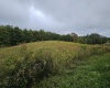 5196 Eden Road, Rock Cave, West Virginia 26234, ,Lots/land,For Sale,Eden,10161420