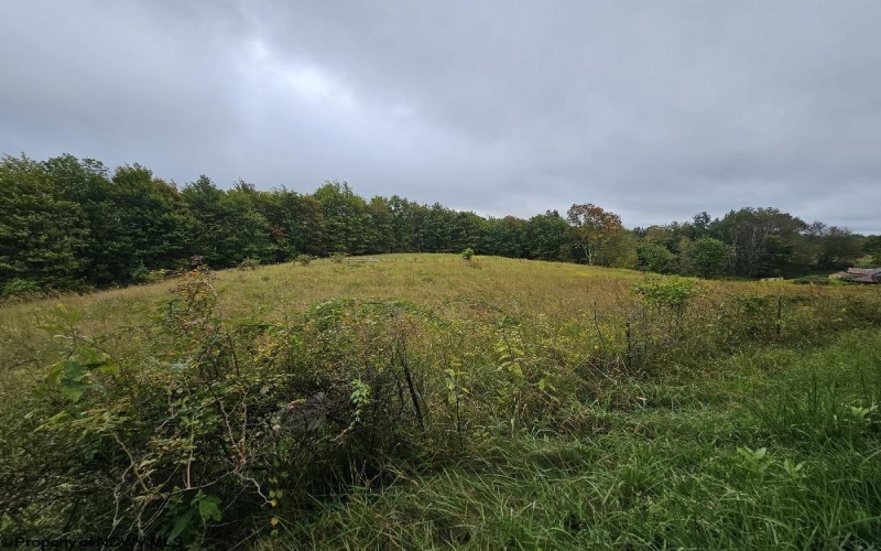 5196 Eden Road, Rock Cave, West Virginia 26234, ,Lots/land,For Sale,Eden,10161420