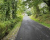 5196 Eden Road, Rock Cave, West Virginia 26234, ,Lots/land,For Sale,Eden,10161420