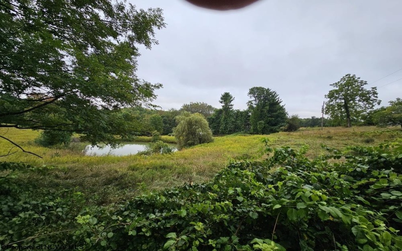5196 Eden Road, Rock Cave, West Virginia 26234, ,Lots/land,For Sale,Eden,10161420