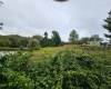 5196 Eden Road, Rock Cave, West Virginia 26234, ,Lots/land,For Sale,Eden,10161420