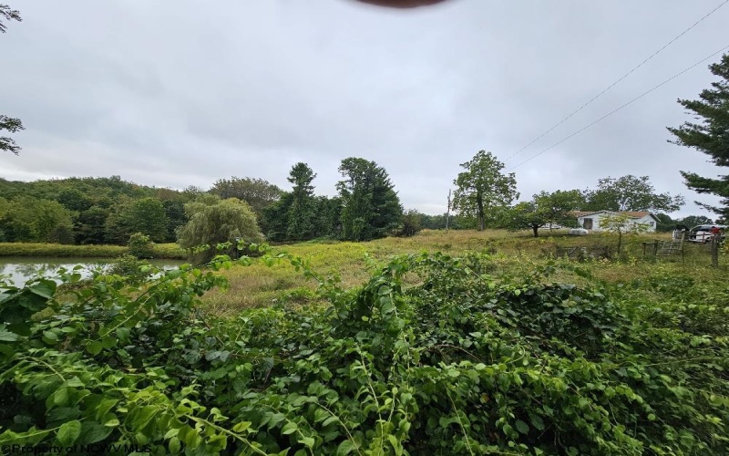 5196 Eden Road, Rock Cave, West Virginia 26234, ,Lots/land,For Sale,Eden,10161420