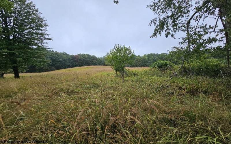 5196 Eden Road, Rock Cave, West Virginia 26234, ,Lots/land,For Sale,Eden,10161420