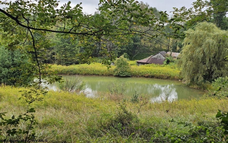 5196 Eden Road, Rock Cave, West Virginia 26234, ,Lots/land,For Sale,Eden,10161420